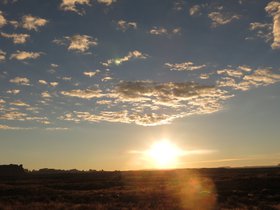 IMG_7429.JPG