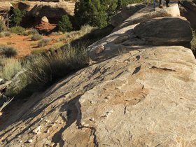 IMG_7446.JPG
