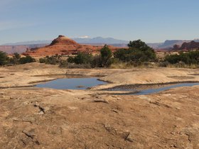 IMG_7465.JPG