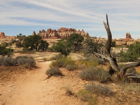 IMG_7482.JPG