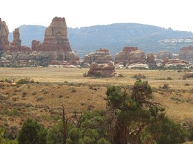 IMG_7494.JPG