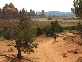 IMG_7496.JPG