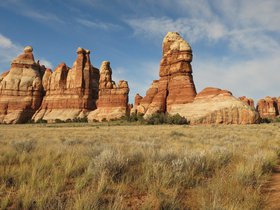 IMG_7517.JPG