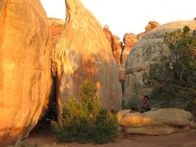 IMG_7520.JPG