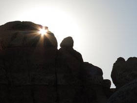 IMG_7525.JPG