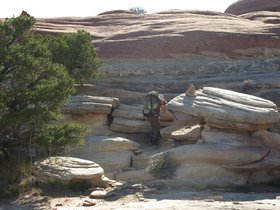 IMG_7575.JPG
