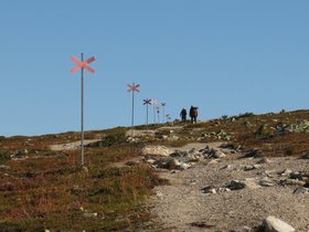 IMG_7948.JPG