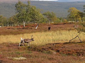 IMG_7985.JPG