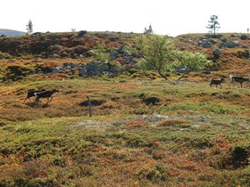 IMG_7988.JPG