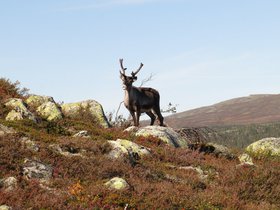 IMG_7990.JPG