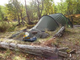 IMG_8004.JPG