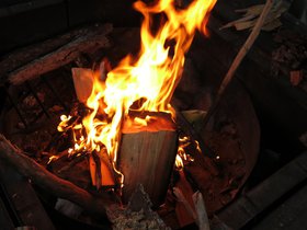 IMG_8010.JPG