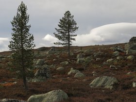 IMG_8029.JPG