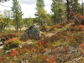 IMG_8033.JPG