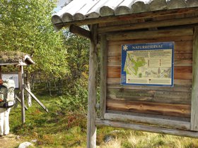 IMG_8035.JPG