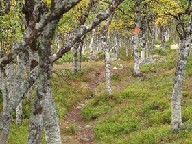 IMG_8037.JPG