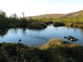 IMG_8068.JPG