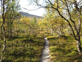 IMG_8080.JPG