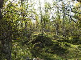 IMG_8081.JPG