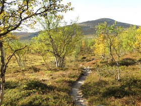 IMG_8085.JPG