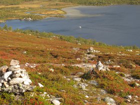 IMG_8098.JPG