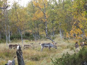IMG_8134.JPG