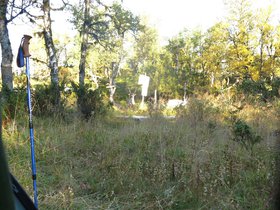 IMG_8136.JPG