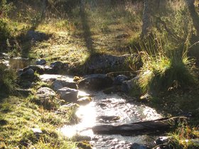 IMG_8138.JPG