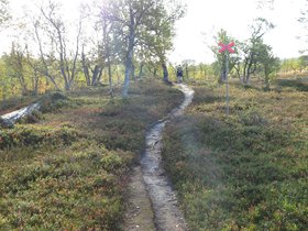 IMG_8150.JPG