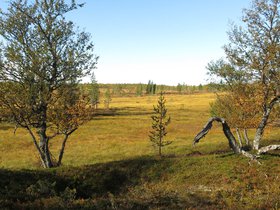 IMG_8151.JPG