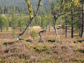 IMG_8158.JPG