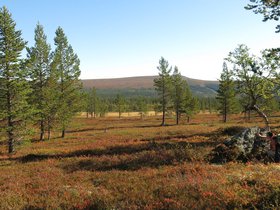 IMG_8164.JPG