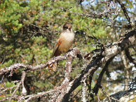 IMG_8188.JPG