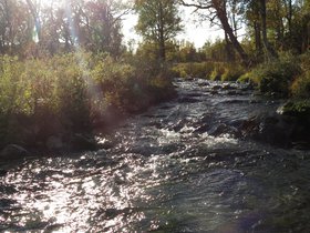 IMG_8204.JPG
