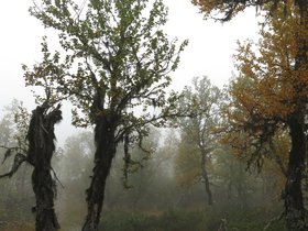 IMG_8219.JPG