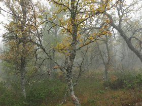 IMG_8221.JPG