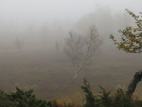IMG_8224.JPG
