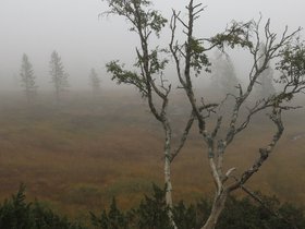 IMG_8225.JPG