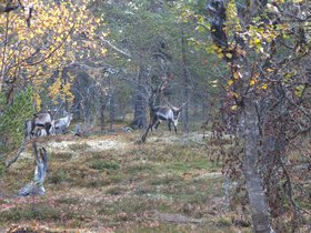 IMG_8303.JPG