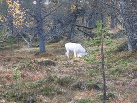 IMG_8305.JPG