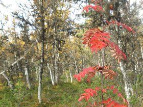 IMG_8308.JPG