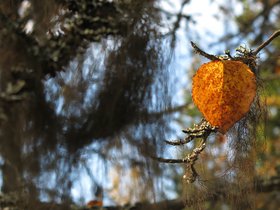 IMG_8311.JPG