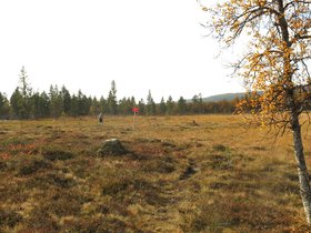 IMG_8317.JPG