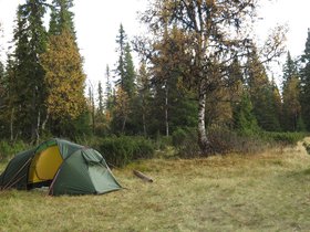 IMG_8331.JPG