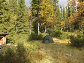 IMG_8333.JPG