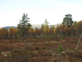 IMG_8358.JPG