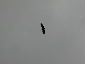 IMG_8432.JPG