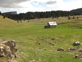 IMG_8452.JPG