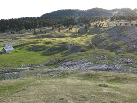 IMG_8461.JPG