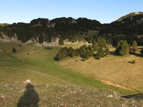 IMG_8464.JPG